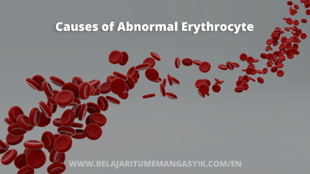 Causes of Abnormal Erythrocyte Values and How to Manage