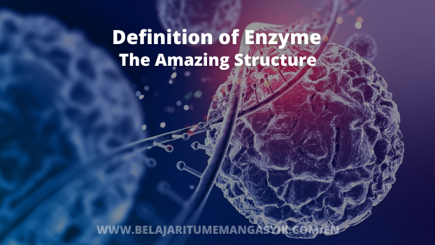 Definition of Enzyme and Their Amazing Structure