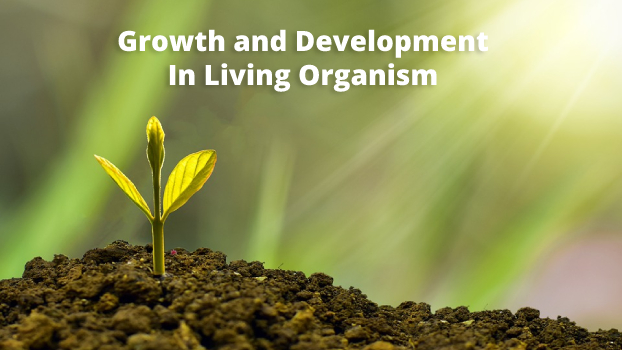 Growth and Development In Living Organism