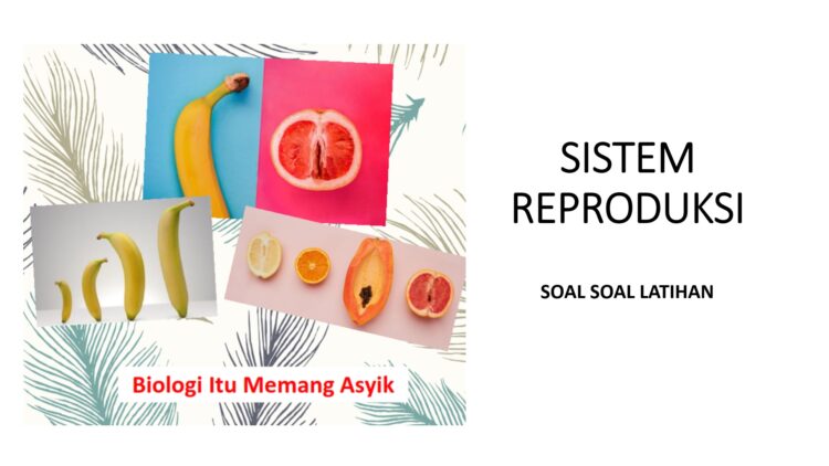 sistem reproduksi